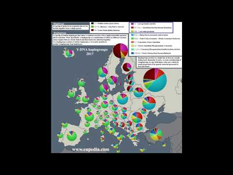 PROTO-EUROPEAN GENES IN MODERN EUROPEANS