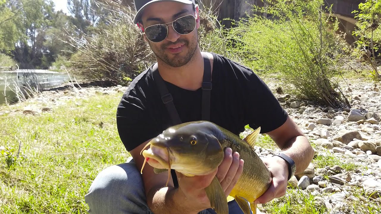 Fly Fish Spain. Sea Bass & Barbel. Epic Views. 🤘 YouTube