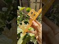 resin namestand #namestand#resinstand #resinart #resin #resinvideo
