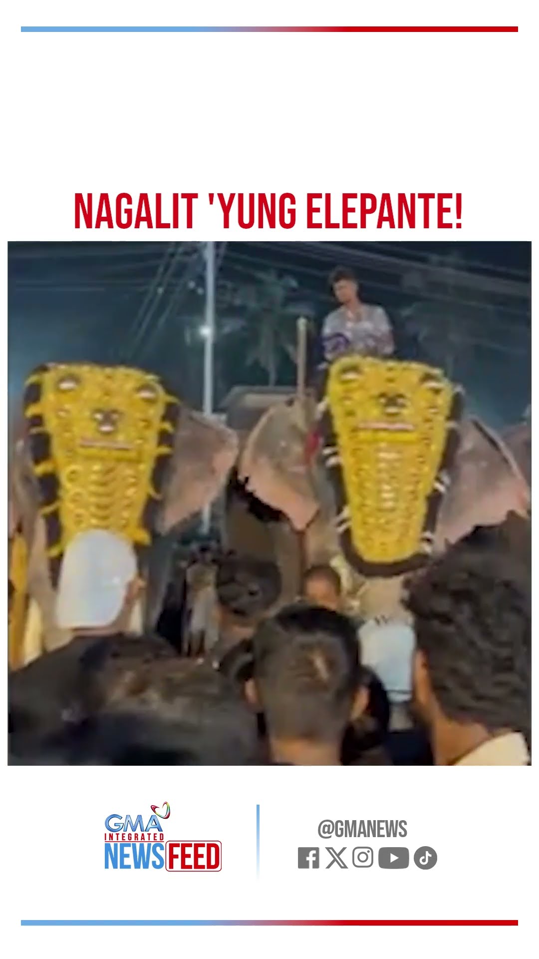Lalaki sa pista, sinunggaban ng galit na elepante| GMA Integrated Newsfeed