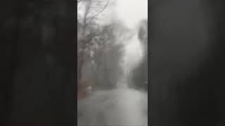 Tropical Storm in New England #newengland #tropical #storm #viral #shortsvideo