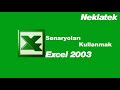 Microsoft Excel 2003: Senaryoları Kullanmak