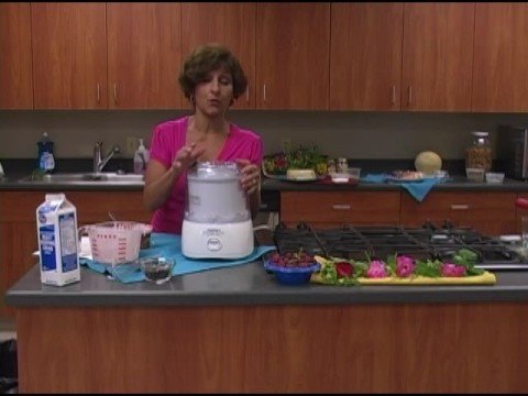 How To Make Homemade Ice Cream In An Electric Ice Cream Maker - SueBee  Homemaker