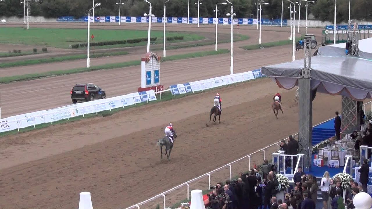 проект про махачкалу. ипподром махачкала мост. дерби московский ипподром 2022. ипподром чита. скачки краснодарский ипподром 2023.