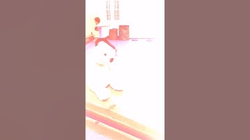 IGM Offline pillanatok