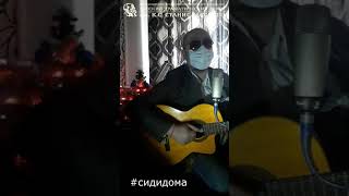 Если вы дома сидите (по мотивам песни М Таривердиева) #сидидома