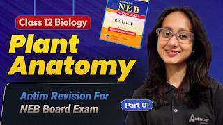 Plant Anatomy | Class 12 Biology | NEB Exam Special | Must Watch Before Your Board!