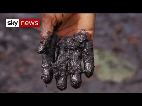 Nigeria farmers win 13 year battle with Shell