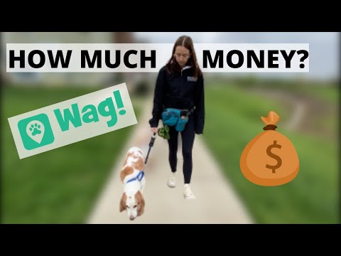 How Much I Make as a DOG WALKER Using WAG and MORE!