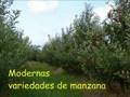 Granja chacra inmobiliaria venta uruguay campo fruta