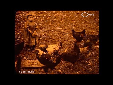 L'elevage des poulards de Bresse à Cousance (Jura)
