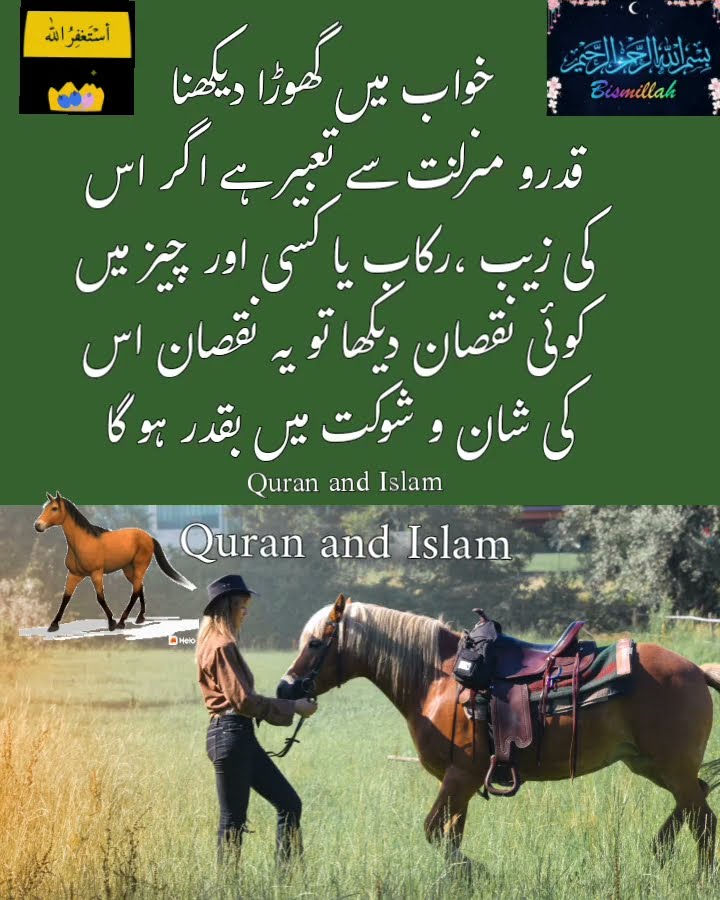 Khwab Mein Ghora Dekhna seeing Horse In Khwab Mein Ghora Dekhna seeing Horse In
