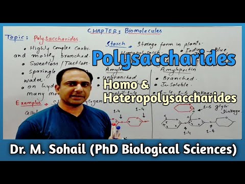 Polysaccharides | Complex Carbohydrates | Homopolysaccharide.