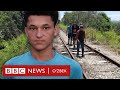 АҚШга етиб оламан деб ҳаётини хатарга қўяётган мигрантлар - янгиликлар, дунё BBC News O'zbek
