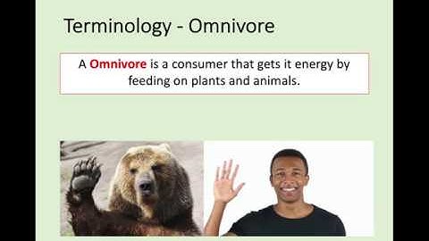 N5 Biology - 3.1 Ecosystems
