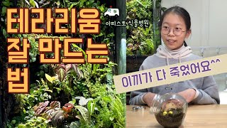 테라리움 잘 만드는 법, 하나에서 열까지 자세히 알려드릴게요