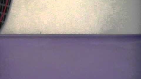 Operation BumbleBee Part 2