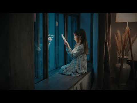 Рождественские светильники Ritter