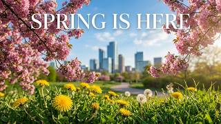Relaxing Nature Scenes - Spring City - Spring is Coming Part 3 Wonderful moments of Nature in Spring