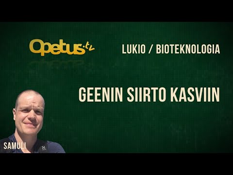 Video: Mikä on geeninsiirtoprosessi?