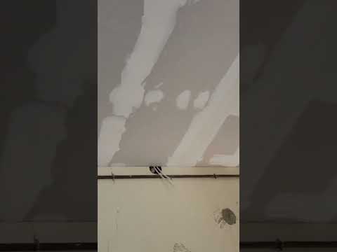 الله يحسن العون بلاكو بلاتر ديكورات