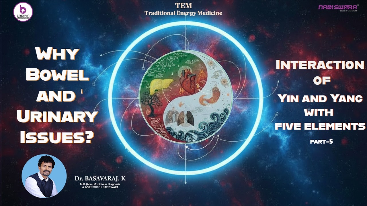 Проблемы с кишечником и мочевыделительной системой. Взаимодействие Инь и Янь с пятью элементами.