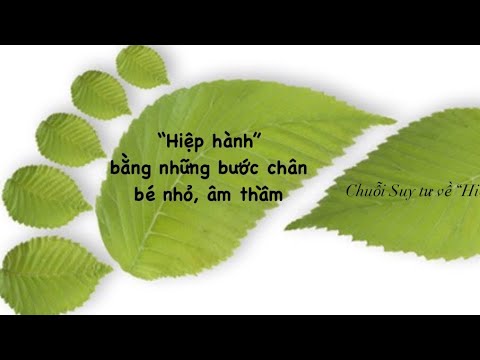 🌾”HIỆP HÀNH” BẰNG NHỮNG BƯỚC 🚶‍♀️CHÂN 🚶🏻‍♂️BÉ NHỎ, ÂM THẦM 🌱| Chuỗi Suy tư về “Hiệp Hành”