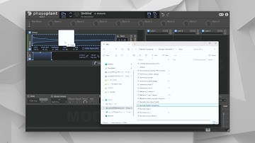 4.4 Sample – Beginner