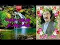 دمبوره جدید استاد سید انور آزاد چیرچیر موکونه گوشه چادر تو سید انور آزاد چیرچیر موکونه گوشه چادر