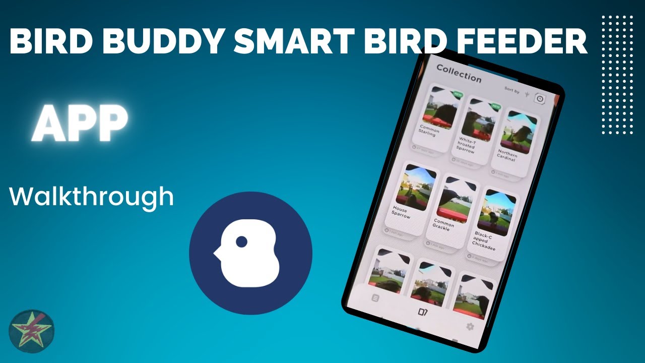 Bird Buddy: Tap into nature ‒ Applications sur Google Play