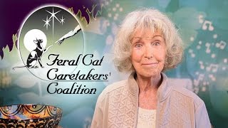 Feral Cat Caretakers' Coalition - Love'n Feral Cats and Kittens! by Feral Cat Caretakers’ Coalition 776 views 7 years ago 2 minutes, 1 second