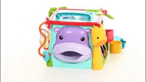 DNP32 Fisher-Price® Play & Learn Activity Cube