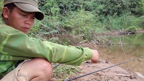 Chia Sẽ 2 Cách Móc Nhái Không Xoay Câu Cá Ló