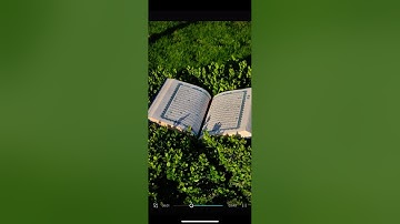 سورة الإنسان🌷بصوت القارئ عبد العزيز شوكري☺️