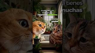 Hay Gente Que Negocia Bien, Y Luego Están Los Que Tenemos Plantas