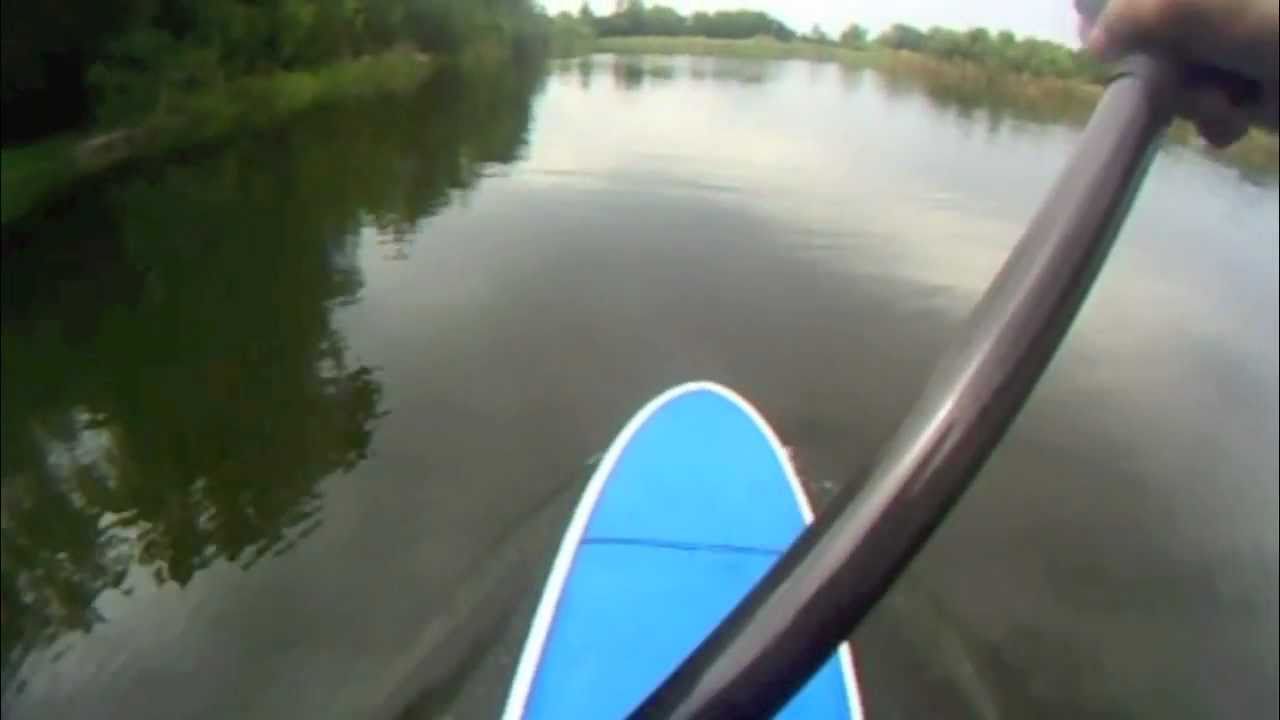 video phone beyonce mp3 SUP Summer in St. Augustine FL