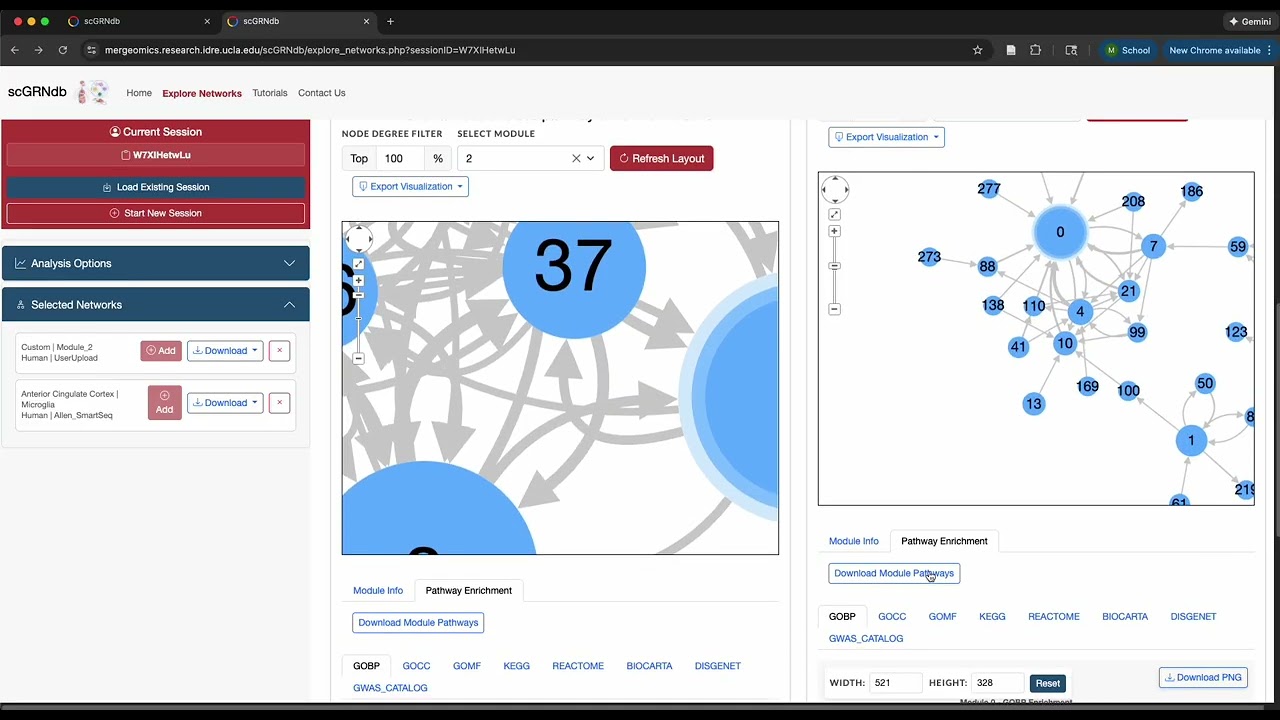 scGRNdb Network Pathway Annotation Full Tutorial
