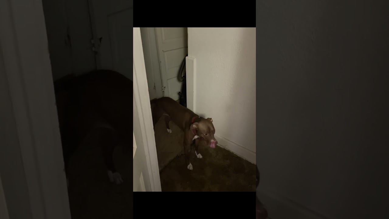 First Grow shout out to 