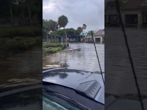 Video: Die weer en klimaat in Sarasota, Florida