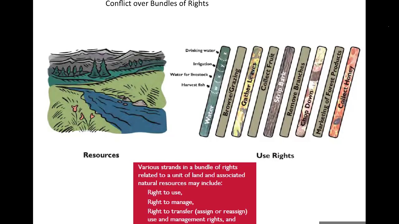 Conflict Of Rights The Conflict of Rights - YouTube