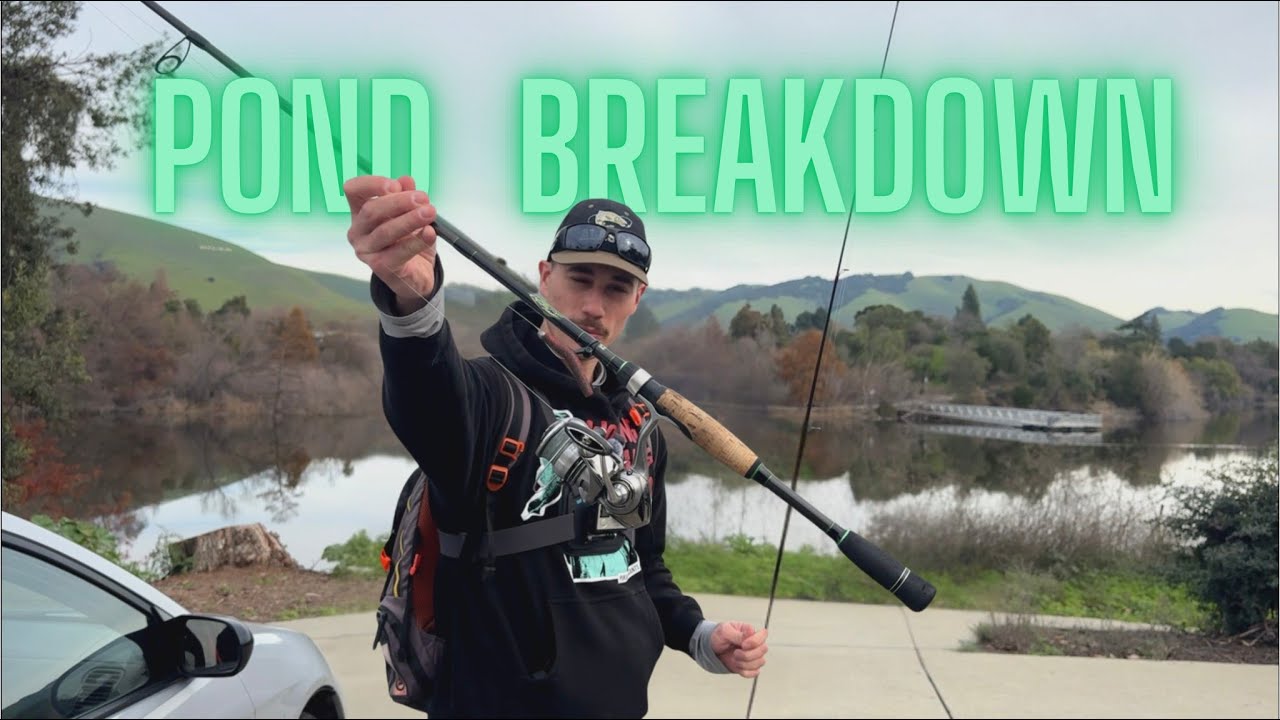 Fishing PRESSURED Ponds in the Bay Area