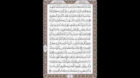 القرآن الكريم بصوت الشيخ سعد الغامدى صفحات صفحة رقم ( 14)