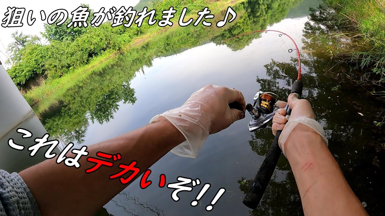 釣り竿など　まとめ売り　川、渓流、野池などに使えます 釣り竿など まとめ売り 川、渓流、野池などに使えます