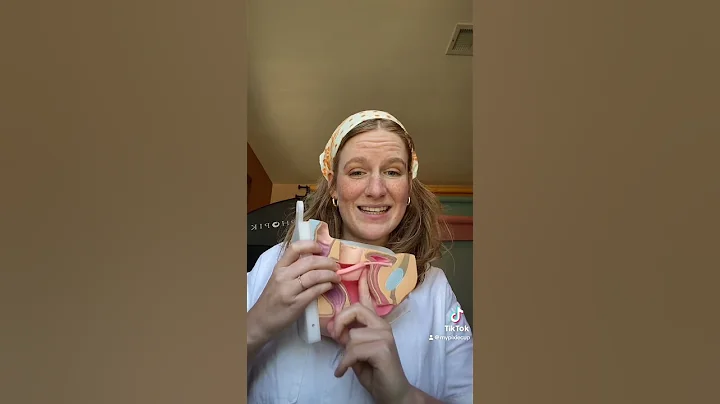 Leaking with the Pixie Disc and Disc Applicator