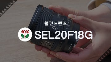 [월간E렌즈] FE 20mm F1.8 G (SEL20F18G)