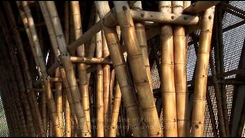 Simon Vélez // La maîtrise du bambou. Exposition à Rossinière (VD) du 30 juin au 22 septembre 2013