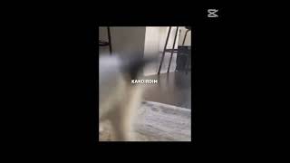 Kandırdım Refugiomental6032