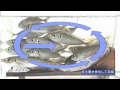 アジカンサイクロン　明邦化学工業
