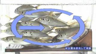 アジカンサイクロン　明邦化学工業