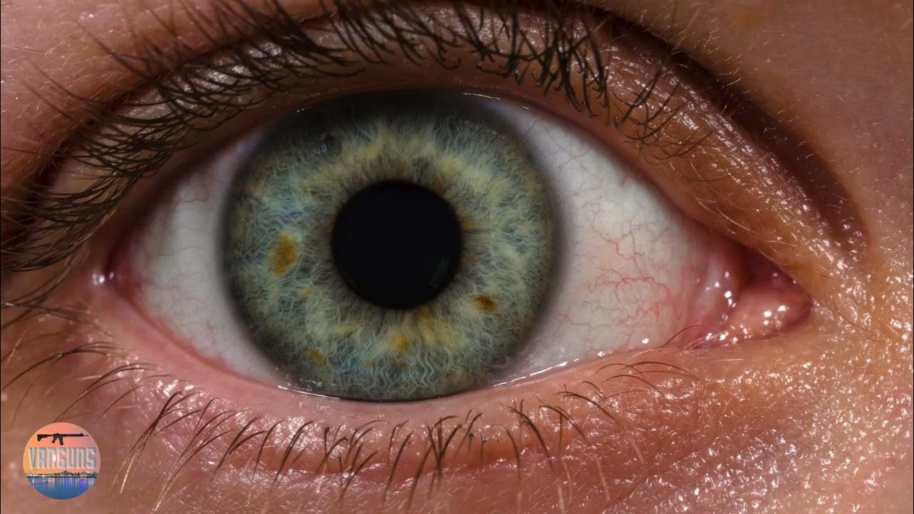 Rifle Scopes and why Exit Pupil Matters YouTube